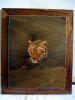 Tigerkopf 60 x 48.JPG