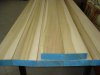 DSC01157.jpg