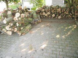IMG_4894.JPG