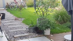 20210928_145710.jpg 20210928_145710.jpg