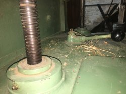 IMG_0755.JPG IMG_0755.JPG