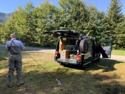 T4_grün Almtal_2.jpg