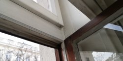 IMG_20211119_125334.jpg