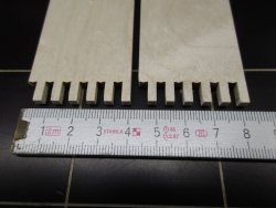 IMG_3120.JPG