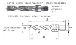 Bohrer_Mayer_DBSH.jpg
