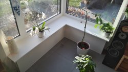 20211220_091651.jpg