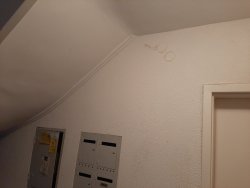 20211203_162027.jpg