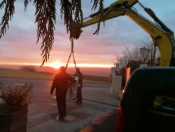 IMG_20220111_164114.jpg