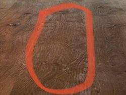 IMG_5638.jpeg IMG_5638.jpeg