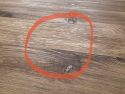 IMG_5640.jpeg IMG_5640.jpeg