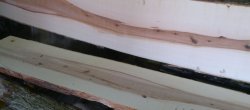 Elsbeere_Splint_Kern_01.jpg