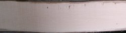 Elsbeere_Splint_Kern_03.jpg