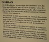 schellack 2.jpg