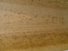 DSC00802.JPG