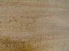 DSC00803.JPG