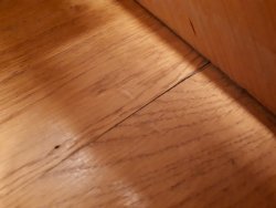 20220208_192825.jpg