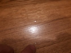 20220208_192814.jpg