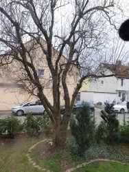 threema-20220222-114440537.jpg threema-20220222-114440537.jpg