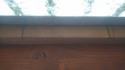 DSC_0868.JPG