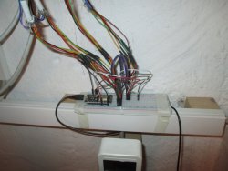 IMG_5341.JPG
