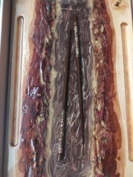 IMG_20220315_111224.jpg IMG_20220315_111224.jpg