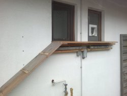 2022-04-05-303.jpg