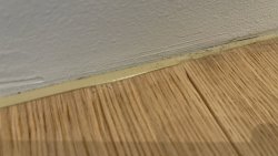 IMG_2888.jpg
