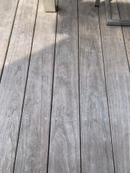 IMG_7168.jpeg