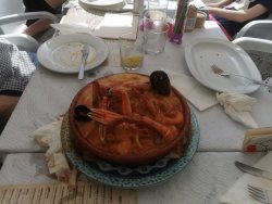 IMG_20220415_162916.jpg