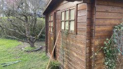 004 außen tür offen.jpeg