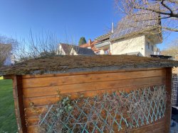 005 außen dach.jpeg