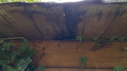 006 außen dach unterseite überstand.jpeg