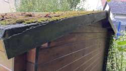 007 außen rückseite.jpeg