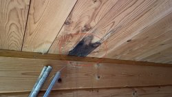 010 innen faule stelle dach rechts.jpeg