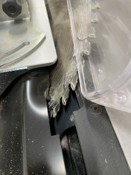 IMG_1384.jpeg IMG_1384.jpeg