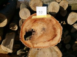 Baumscheiben verschiedene Durchmesser zwischen 35 und 60 cm günstig abzugeben
