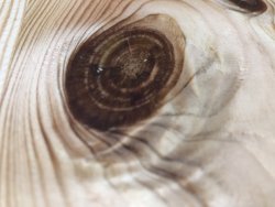 16AA4FD8-36D0-41BA-9575-BA4744BE7174.jpeg 16AA4FD8-36D0-41BA-9575-BA4744BE7174.jpeg