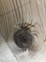 43FBF954-B070-48F4-817B-42D7EF38837E.jpeg 43FBF954-B070-48F4-817B-42D7EF38837E.jpeg