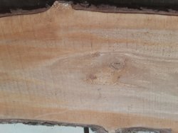 20220604_082221 Kopie.jpg