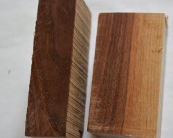 DSC_2545.jpg DSC_2545.jpg