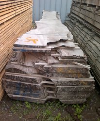 Esche_160cm.jpg