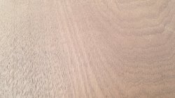 20220616_201219.jpg