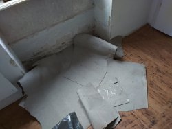 IMG_20220616_162252.jpg