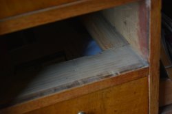 DSC_2698.jpg