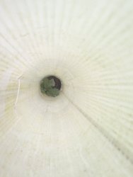 030720225370.jpg