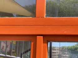IMG_4031.jpeg
