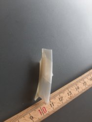 20220728_161847.jpg
