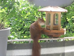 CIMG0316.JPG CIMG0316.JPG