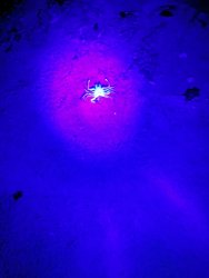 IMG_20220804_231717.jpg