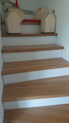 IMG-20190624-WA0001.jpeg